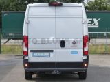 Fiat Ducato bei Gebrauchtwagen.expert - Abbildung (7 / 15)