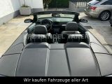 Opel Astra bei Gebrauchtwagen.expert - Abbildung (12 / 15)