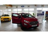 Ford EcoSport bei Gebrauchtwagen.expert - Abbildung (7 / 15)