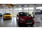 Ford EcoSport bei Gebrauchtwagen.expert - Abbildung (15 / 15)