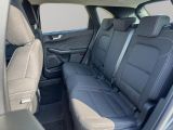 Ford Kuga bei Gebrauchtwagen.expert - Abbildung (13 / 15)