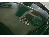 Jaguar E-Type bei Gebrauchtwagen.expert - Abbildung (8 / 15)