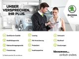 Skoda Superb bei Gebrauchtwagen.expert - Abbildung (12 / 15)