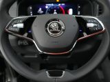 Skoda Karoq bei Gebrauchtwagen.expert - Abbildung (14 / 15)