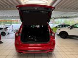 Ford Kuga bei Gebrauchtwagen.expert - Abbildung (13 / 13) Ford Kuga bei Gebrauchtwagen.expert - Abbildung (13 / 13)
