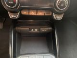Kia Stonic bei Gebrauchtwagen.expert - Abbildung (13 / 15)