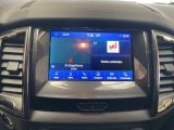 Ford Ranger bei Gebrauchtwagen.expert - Abbildung (9 / 15) Ford Ranger bei Gebrauchtwagen.expert - Abbildung (9 / 15)
