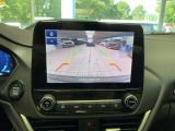 Ford Puma bei Gebrauchtwagen.expert - Abbildung (9 / 15)