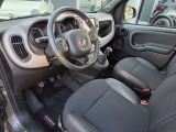Fiat Panda bei Gebrauchtwagen.expert - Abbildung (10 / 13)