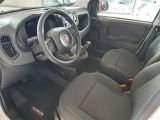 Fiat Panda bei Gebrauchtwagen.expert - Abbildung (9 / 12)