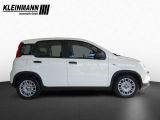 Fiat Panda bei Gebrauchtwagen.expert - Abbildung (5 / 12)
