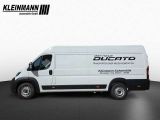 Fiat Ducato bei Gebrauchtwagen.expert - Abbildung (4 / 12)