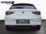 Alfa Romeo Stelvio bei Gebrauchtwagen.expert - Abbildung (8 / 13) Alfa Romeo Stelvio bei Gebrauchtwagen.expert - Abbildung (8 / 13)