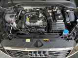 Audi Q2 bei Gebrauchtwagen.expert - Abbildung (13 / 13)