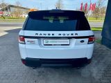 Land Rover Range Rover bei Gebrauchtwagen.expert - Abbildung (7 / 15)