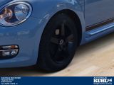 VW Beetle bei Gebrauchtwagen.expert - Abbildung (4 / 10)