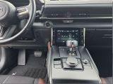 Mazda MX-30 bei Gebrauchtwagen.expert - Abbildung (9 / 15)