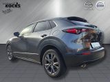 Mazda CX-30 bei Gebrauchtwagen.expert - Abbildung (3 / 15)