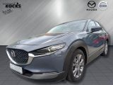 Mazda CX-30 bei Gebrauchtwagen.expert - Abbildung (2 / 15) Mazda CX-30 bei Gebrauchtwagen.expert - Abbildung (2 / 15)