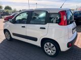 Fiat Panda bei Gebrauchtwagen.expert - Abbildung (5 / 15)