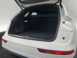 Audi SQ5 bei Gebrauchtwagen.expert - Abbildung (7 / 15)