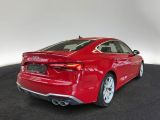 Audi S5 Sportback bei Gebrauchtwagen.expert - Abbildung (4 / 15)