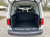VW Caddy bei Gebrauchtwagen.expert - Abbildung (9 / 10) VW Caddy bei Gebrauchtwagen.expert - Abbildung (9 / 10)