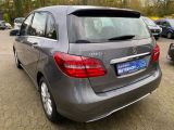 Mercedes-Benz B-Klasse bei Gebrauchtwagen.expert - Abbildung (10 / 15)