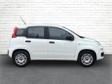 Fiat Panda bei Gebrauchtwagen.expert - Abbildung (5 / 15)