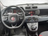 Fiat Panda bei Gebrauchtwagen.expert - Abbildung (11 / 15)