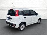 Fiat Panda bei Gebrauchtwagen.expert - Abbildung (6 / 15)