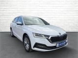 Skoda Octavia bei Gebrauchtwagen.expert - Abbildung (8 / 15)