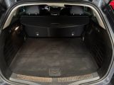 Renault Megane bei Gebrauchtwagen.expert - Abbildung (12 / 14)
