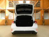 Ford Focus bei Gebrauchtwagen.expert - Abbildung (14 / 15)