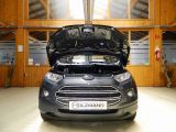 Ford EcoSport bei Gebrauchtwagen.expert - Abbildung (15 / 15)