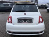 Fiat 500 bei Gebrauchtwagen.expert - Abbildung (6 / 15)