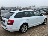 Skoda Octavia bei Gebrauchtwagen.expert - Abbildung (4 / 15)