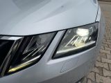 Skoda Octavia bei Gebrauchtwagen.expert - Abbildung (8 / 15)