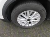 VW T-Roc bei Gebrauchtwagen.expert - Abbildung (5 / 15)