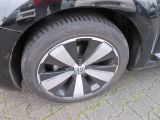 VW Beetle bei Gebrauchtwagen.expert - Abbildung (6 / 13)
