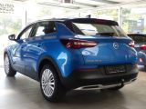 Opel Grandland X bei Gebrauchtwagen.expert - Abbildung (6 / 15)