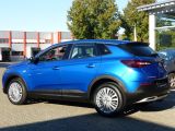 Opel Grandland X bei Gebrauchtwagen.expert - Abbildung (2 / 15)