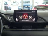 Mazda 6 bei Gebrauchtwagen.expert - Abbildung (8 / 15)