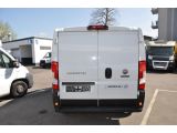 Fiat Ducato bei Gebrauchtwagen.expert - Abbildung (9 / 15)