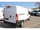 Fiat Ducato bei Gebrauchtwagen.expert - Abbildung (7 / 15)