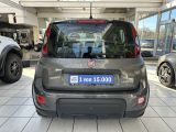 Fiat Panda bei Gebrauchtwagen.expert - Abbildung (4 / 15)