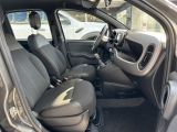 Fiat Panda bei Gebrauchtwagen.expert - Abbildung (15 / 15)