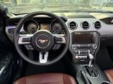 Ford Mustang bei Gebrauchtwagen.expert - Abbildung (15 / 15) Ford Mustang bei Gebrauchtwagen.expert - Abbildung (15 / 15)
