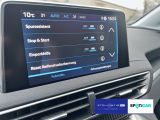 Peugeot 3008 bei Gebrauchtwagen.expert - Abbildung (12 / 15)