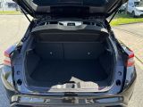 Nissan Juke bei Gebrauchtwagen.expert - Abbildung (6 / 15)